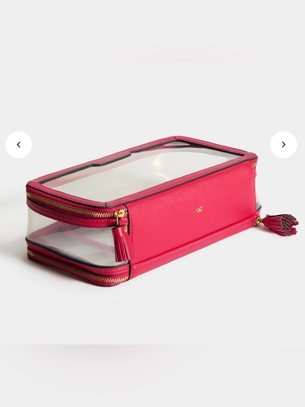 Anya Hindmarch In-Flight case